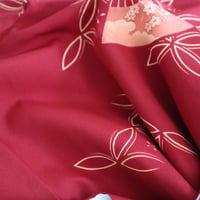 Image 5 of "Umé no Hana"　 梅の花