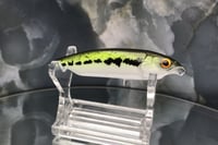 Image 2 of BFS Jerkbait 2913