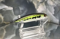 Image 5 of BFS Jerkbait 2913