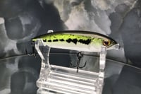 Image 6 of BFS Jerkbait 2913