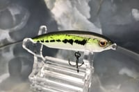 Image 8 of BFS Jerkbait 2913