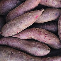 Portuguese Batata Doce Roxa Purple Sweet Potatoes