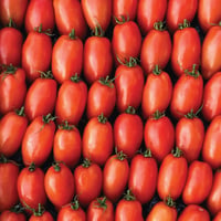 Image 1 of Italian San Marzano Tomato
