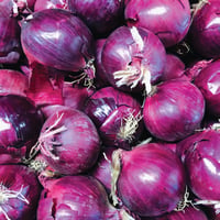 French Red Organic Onions