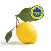 Image 3 of Italian Amalfi I.G.P Lemons