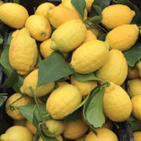 Image 1 of Italian Amalfi I.G.P Lemons