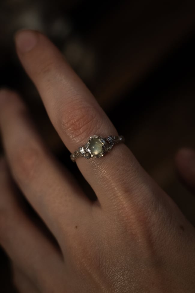 Anillo Kappa - Colección Fauces