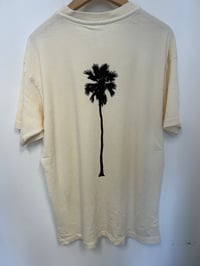 Image 4 of LA NATIVE Big Back Palm