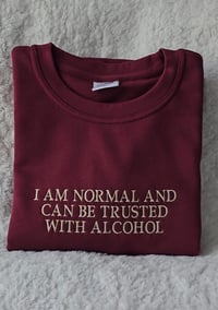 I am normal sweatshirt