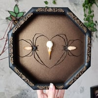 Image 1 of Spider Love