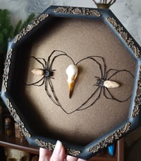Image 2 of Spider Love