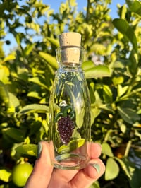 Image 2 of Grape Potion Bottle 