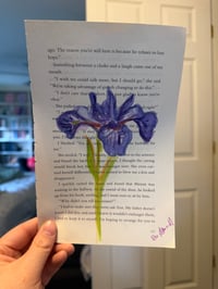 Image 2 of "Iris" Watercolor Painting