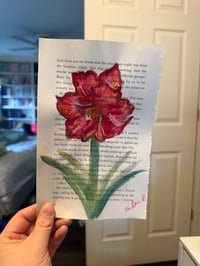 Image 2 of "Red Amaryllis" Watercolor Painting