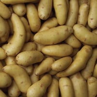 Image 1 of French La Ratte Potato 