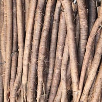 Image 1 of Belgian Salsify Root
