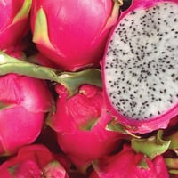 Image 1 of Thai White XL Dragonfruit