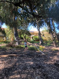 Image 22 of WILD CREATIVE KIDS