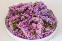 Image 1 of 20g Statice Heads