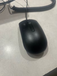 Digital mouse
