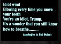 Image 2 of IDIOT WIND/TRUMP
