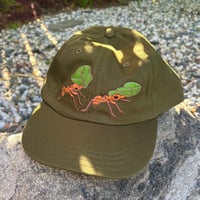 Image 1 of Leafcutter Ants Dad Hat
