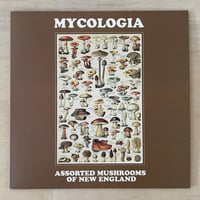 Mycologia – Assorted Mushrooms Of New England