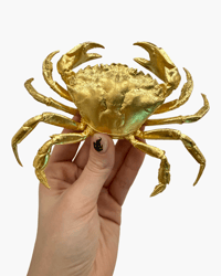 Image 2 of HUGE Crab frame