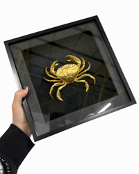 Image 1 of HUGE Crab frame