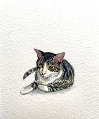 Image 2 of TINY custom pet watercolor painting 100%handmade