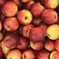 British Mole End Crimson Crisp Apples