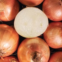 Spanish Fallera Brown "Cannonball" Onion