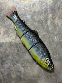 Image 1 of Immortal Trout 7.7 “Brown Trout”