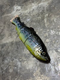 Image 2 of Immortal Trout 7.7 “Brown Trout”