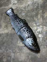 Image 2 of Immortal Trout 7.7 “Trout variant”