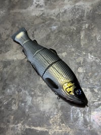 Image 2 of Immortal Trout 7.7 “Golden Shiner”