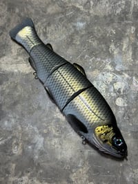 Image 1 of Immortal Trout 7.7 “Golden Shiner”