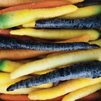 French Heirloom Mixed Carrots