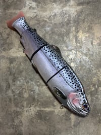 Image 1 of Immortal Trout 11.0 “Pearlberry”
