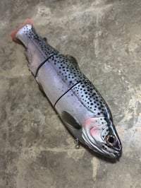 Image 2 of Immortal Trout 11.0 “Pearlberry”