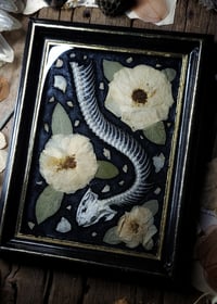 Image 5 of Snake Skeleton and Rose Wall Frame