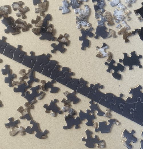 Image of Leaping Hare Puzzle