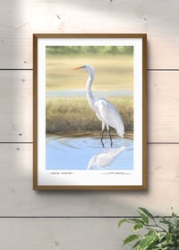 Image 2 of Grande aigrette
