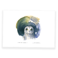 Image 1 of Hibou des marais