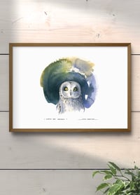 Image 2 of Hibou des marais
