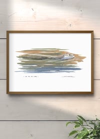 Image 2 of Loutre - Au fil de l'eau