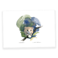 Image 1 of Muscardin