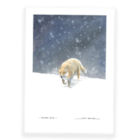 Image 1 of Renard roux