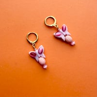 Boucles "ALICE"