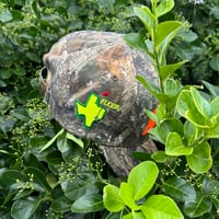 Image 2 of ATW x Texas Fixed Hat